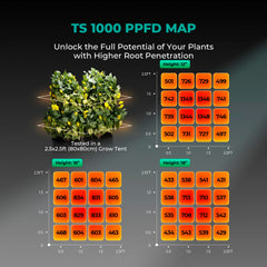 MARS HYDRO TS1000 mounted in a grow tent providing bright, even lighting for plants