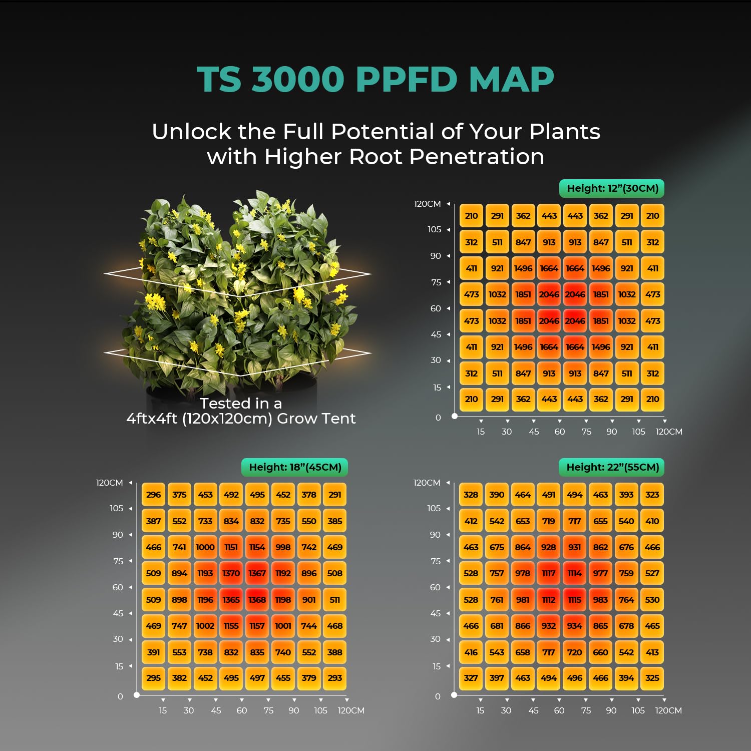 MARS HYDRO TS3000 diode array close-up demonstrating uniform light layout