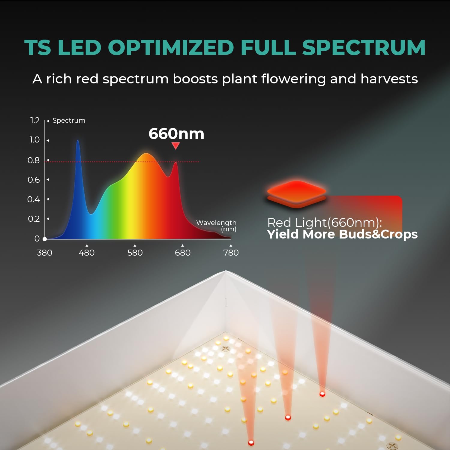 MARS HYDRO TS3000 mounted inside grow tent delivering even canopy light
