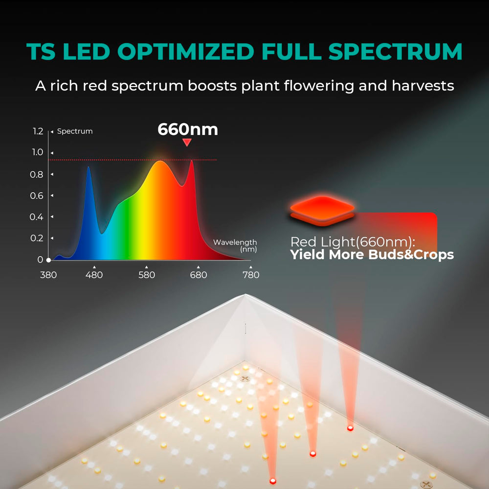 MARS HYDRO TSW2000 mounted in a 3x3 grow tent showing recommended footprint
