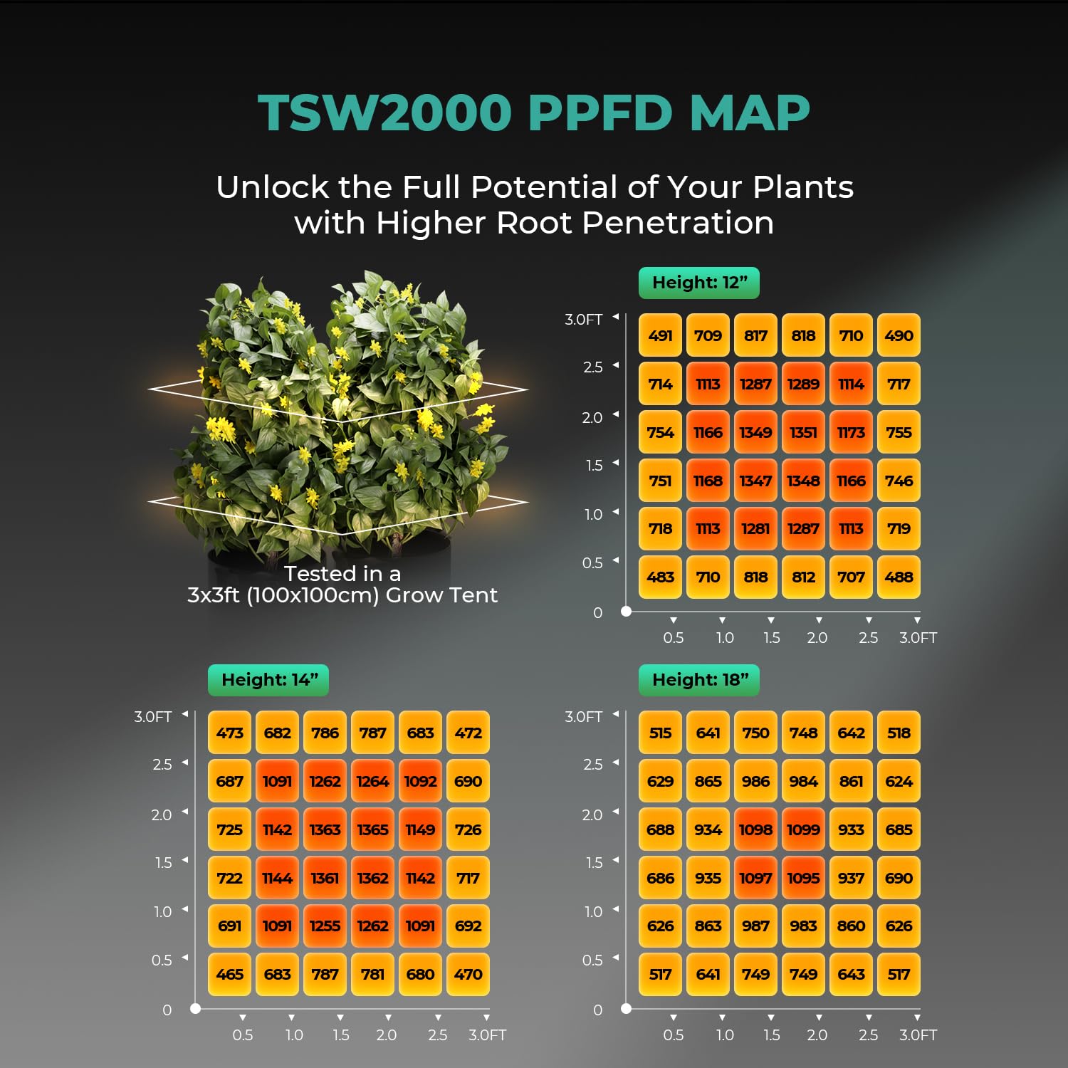 MARS HYDRO detailed shot of 704 SMD LEDs demonstrating high light density