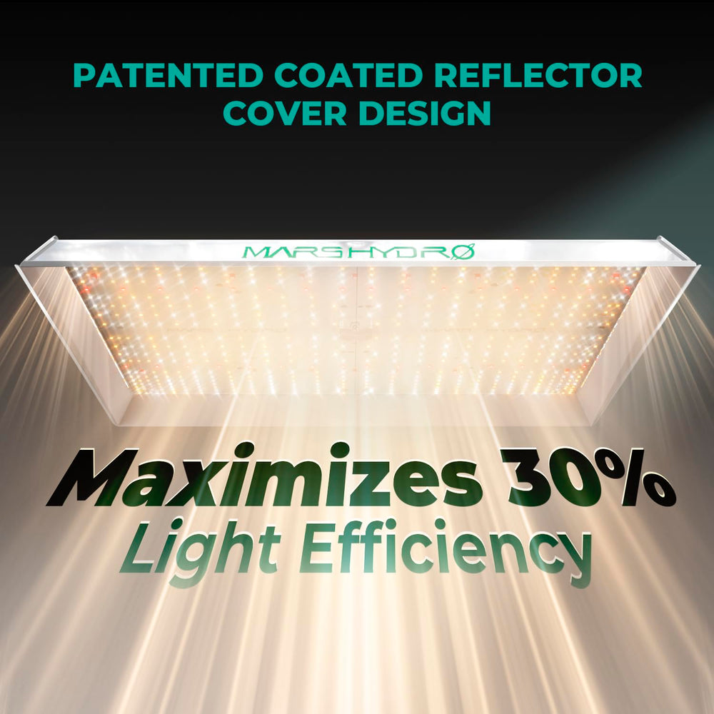 MARS HYDRO TSW2000 illuminating an indoor plant setup showing healthier foliage