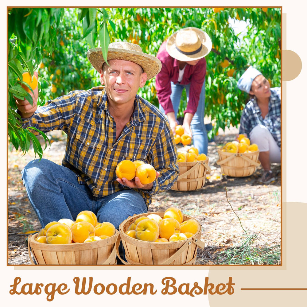 Marsui basket filled with apples showing ample capacity and protective shape for produce