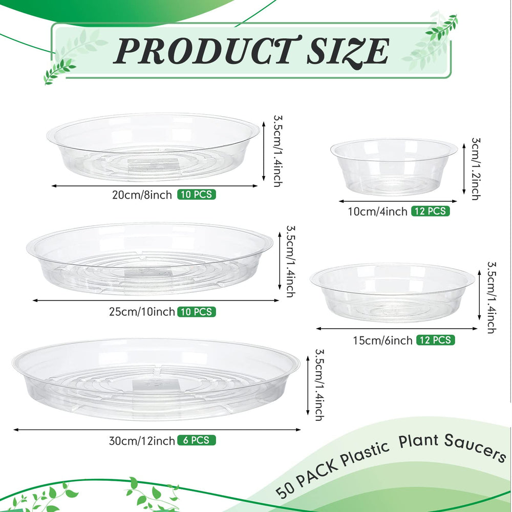 Marsui close-up of saucer edge highlighting smooth rim and sturdy build