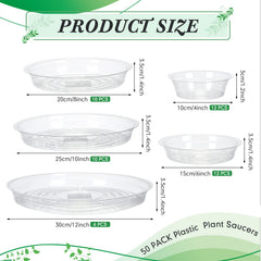 Marsui close-up of saucer edge highlighting smooth rim and sturdy build