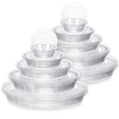 Marsui front view of 50-pack clear saucers showing full assortment and protection
