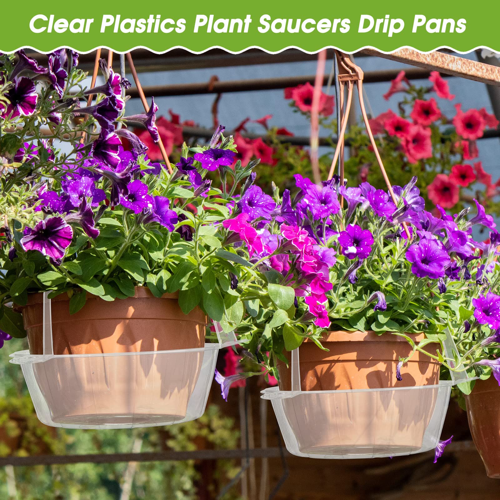 Marsui patio scene with multiple hanging baskets showing tidy display benefit
