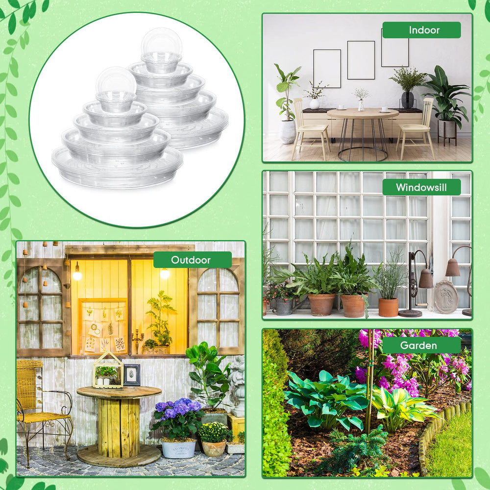 Marsui lifestyle shelf scene with plants on saucers for tidy decor