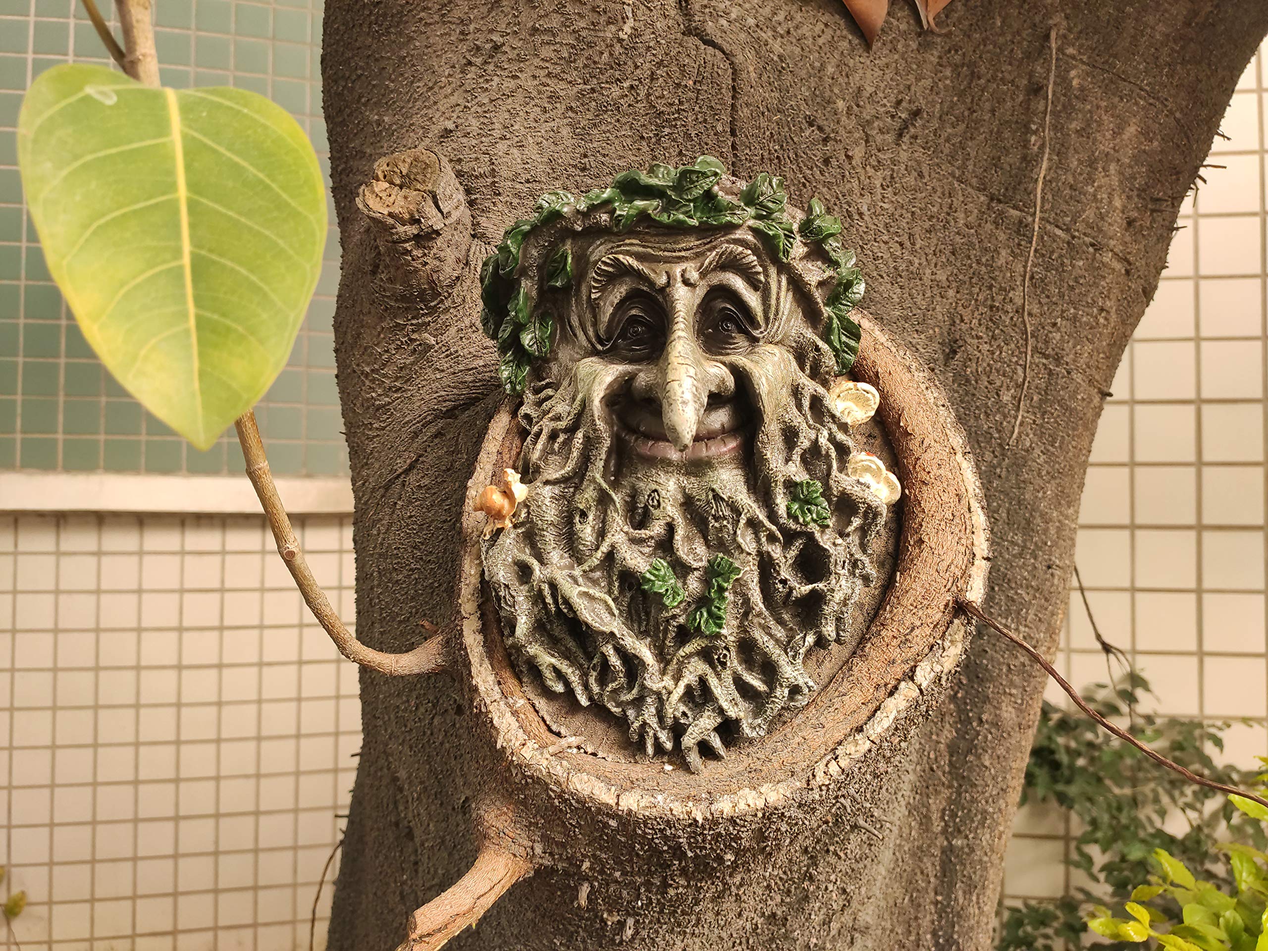 MARYTUMM planted with succulent demonstrating compact garden use benefit