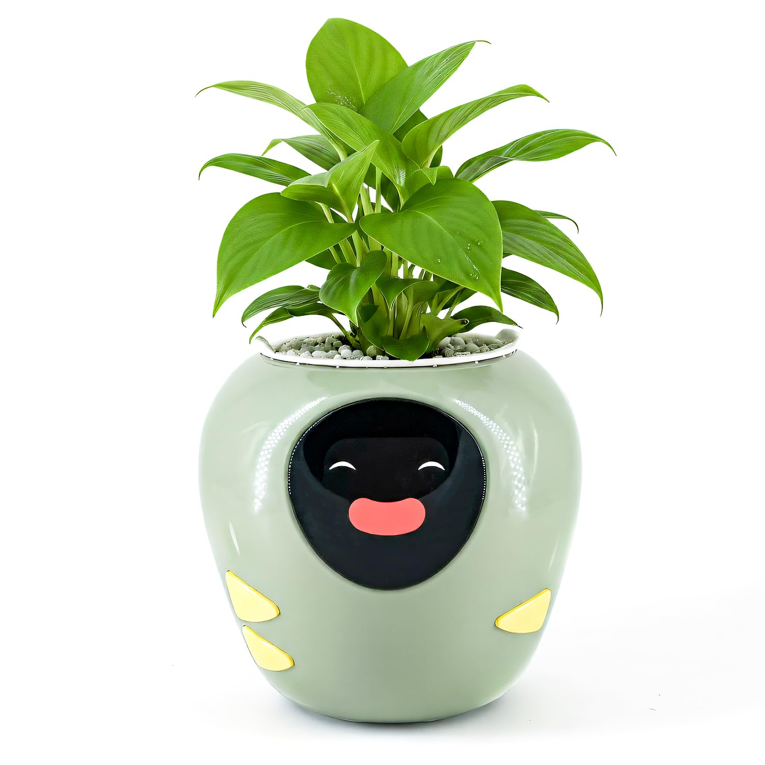 Masdio Plantbot front view showing planter and display, attractive decoration benefit
