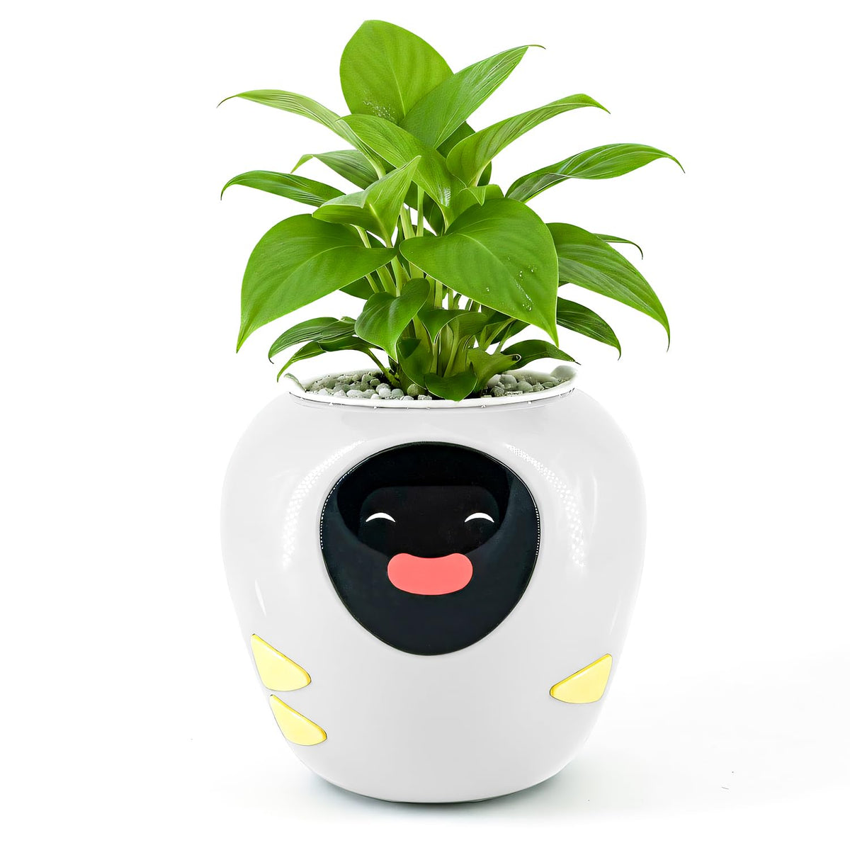 Masdio Plantbot front view showing white planter and animated screen, enhances desk décor