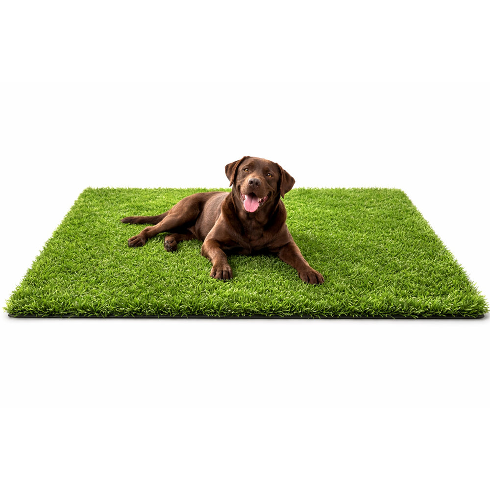 MASSTEELGER front view showing turf rug and clean presentation benefit