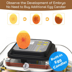MATICOOPX automatic egg turner detail ensures consistent turning benefit