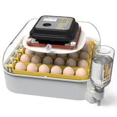 MATICOOPX front view showing compact incubator and clear lid, helps monitor eggs easily