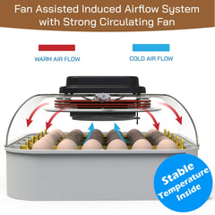 MATICOOPX internal egg tray detail showing layout and capacity, improves organized hatching