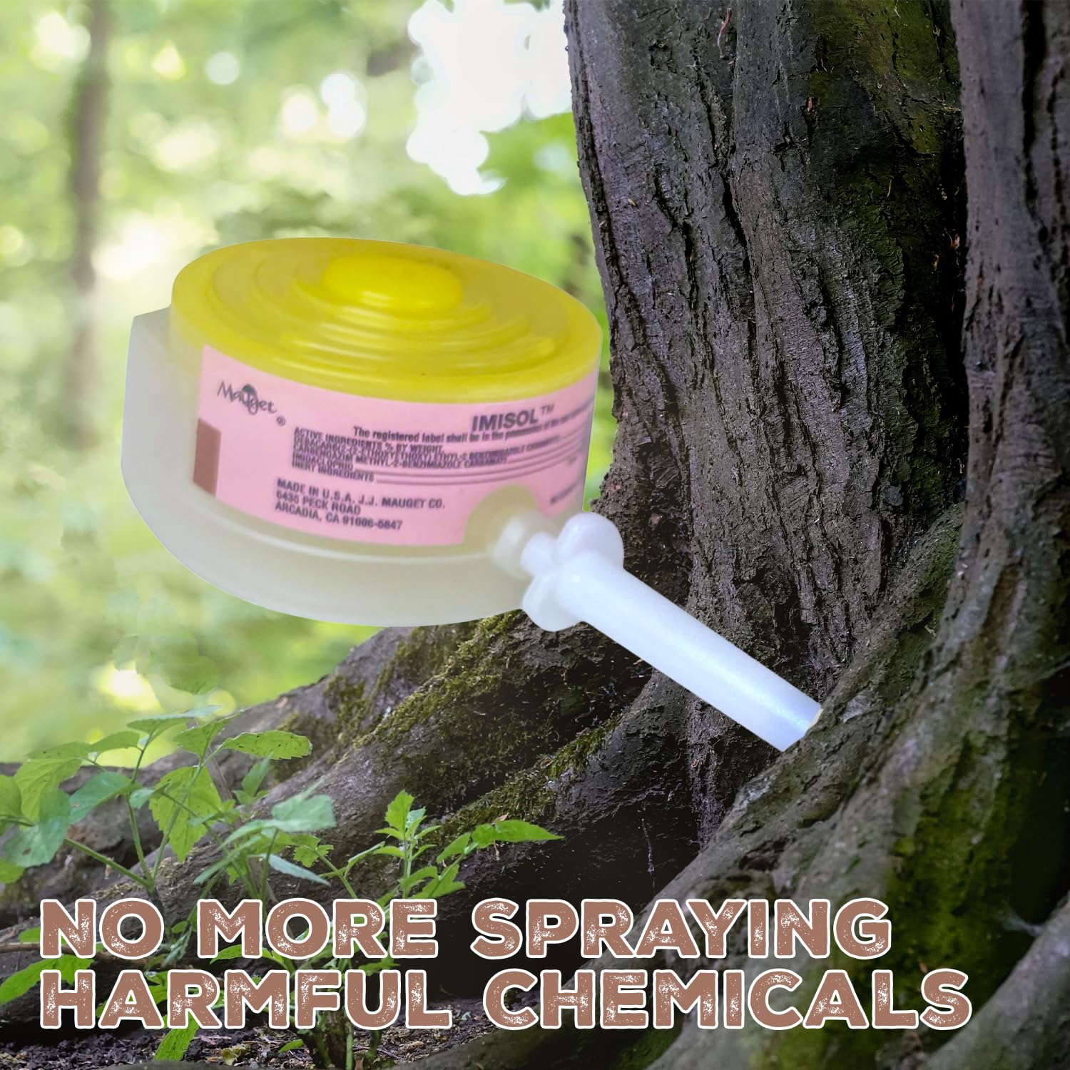 Mauget Imisol treated tree canopy showing improved vigor and long-lasting protection benefit