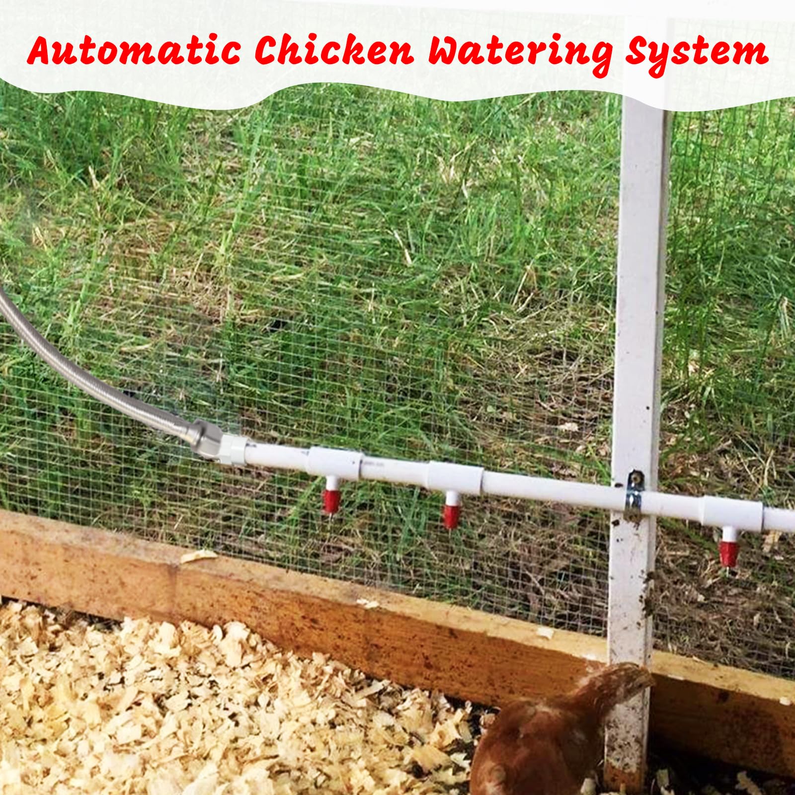 MAVGZUL installed watering line in coop showing tidy automatic supply