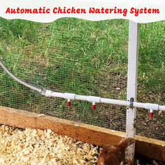 MAVGZUL installed watering line in coop showing tidy automatic supply