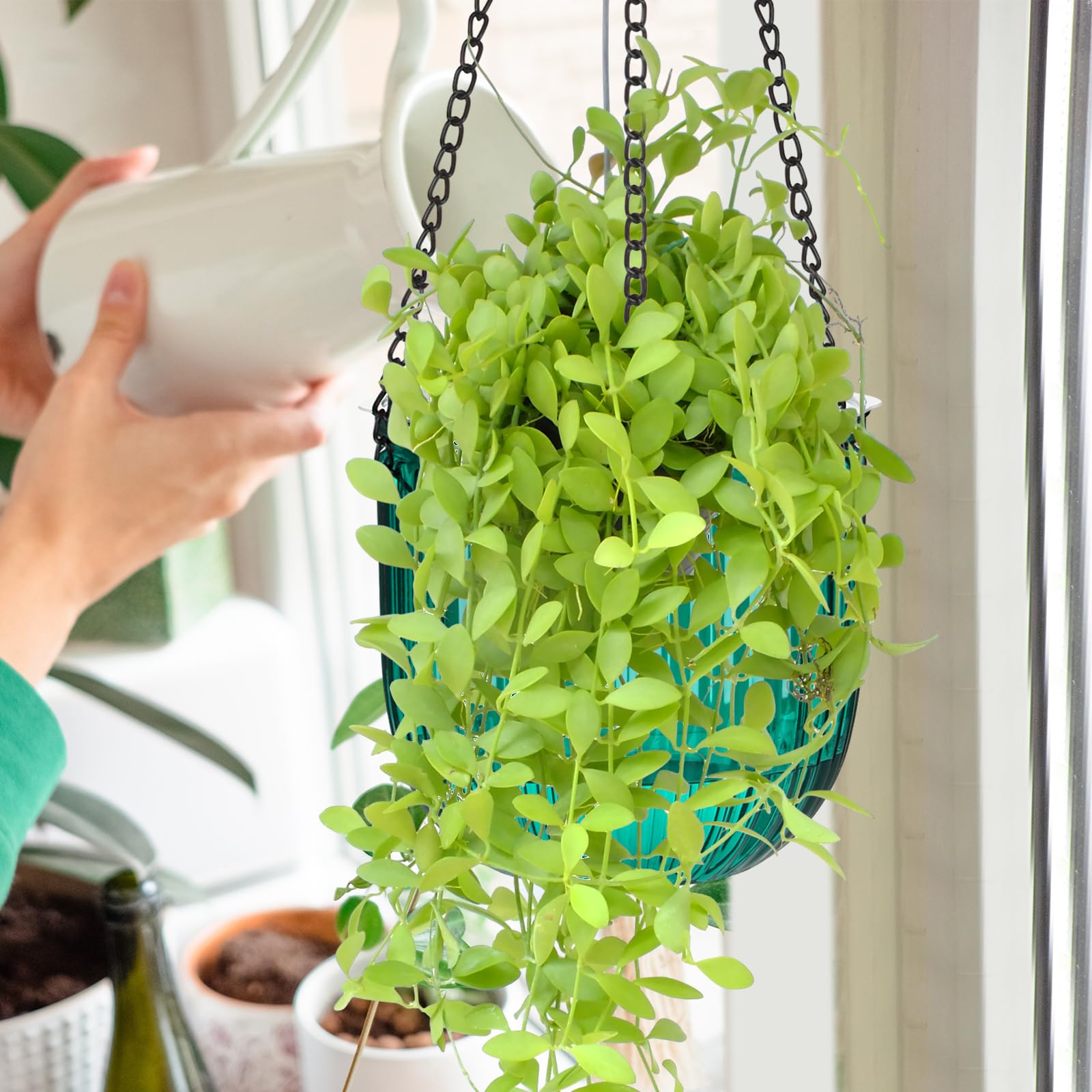 Maxcheck lifestyle kitchen herb display in emerald planters highlighting easy access to fresh herbs