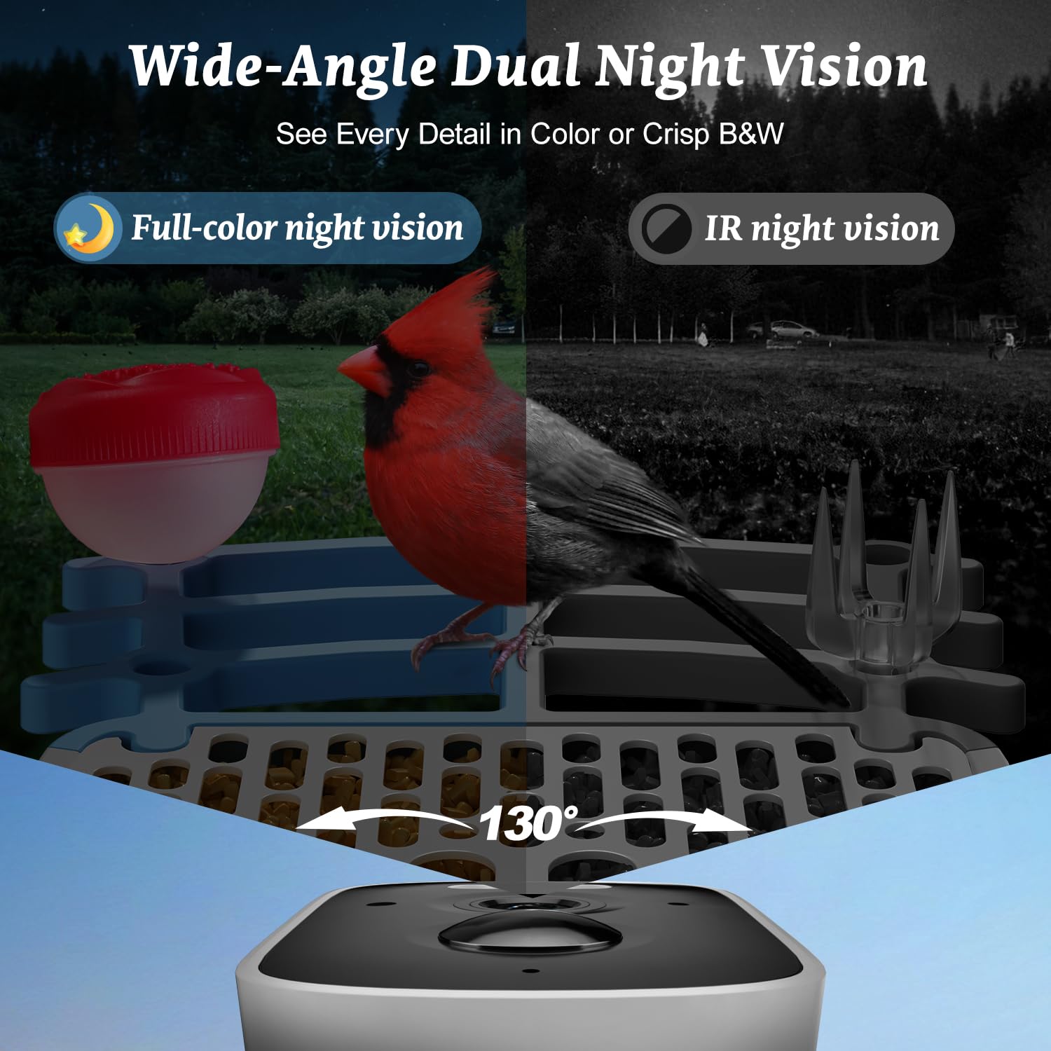 MAXDONE night vision view demonstrating clear low-light recording benefit