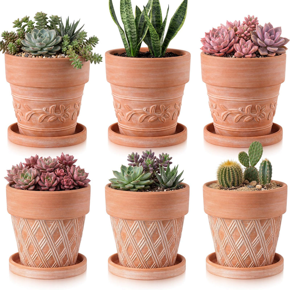 Maxdot front view of six-pack embossed pots showing neat set and styling benefit