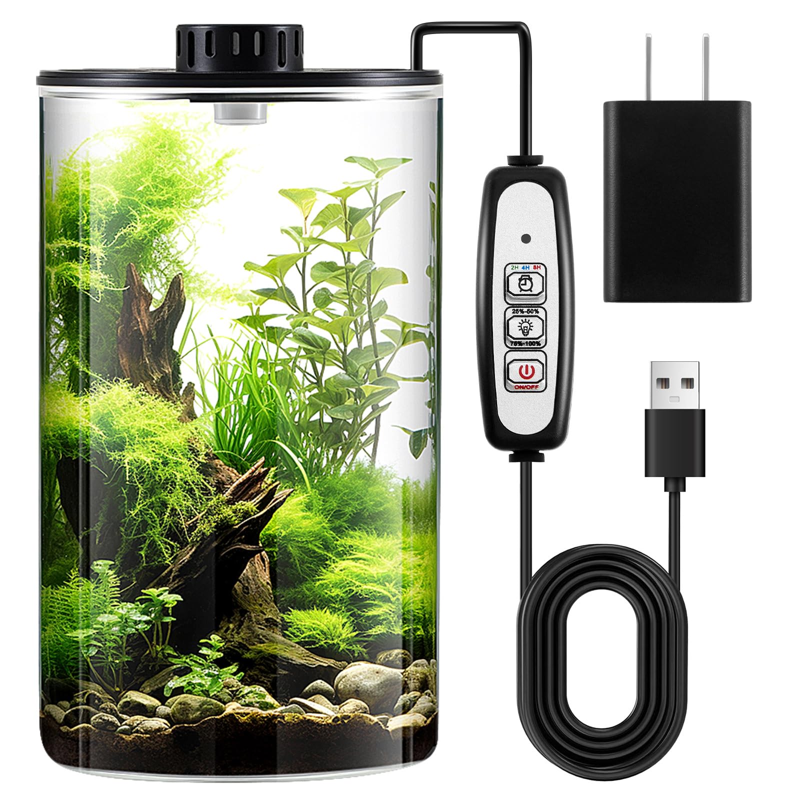 Maxdot front view of glass terrarium showing clear borosilicate clarity and style