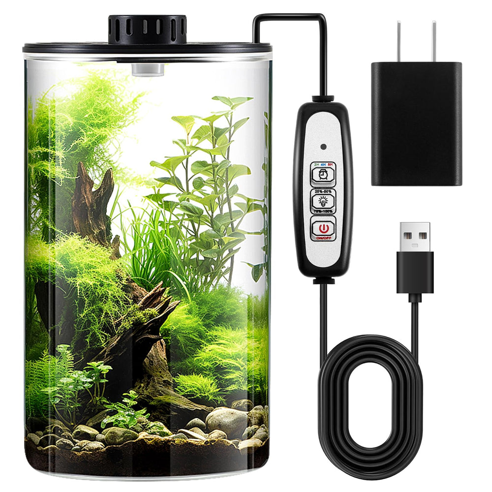 Maxdot front view of glass terrarium showing clear borosilicate clarity and style