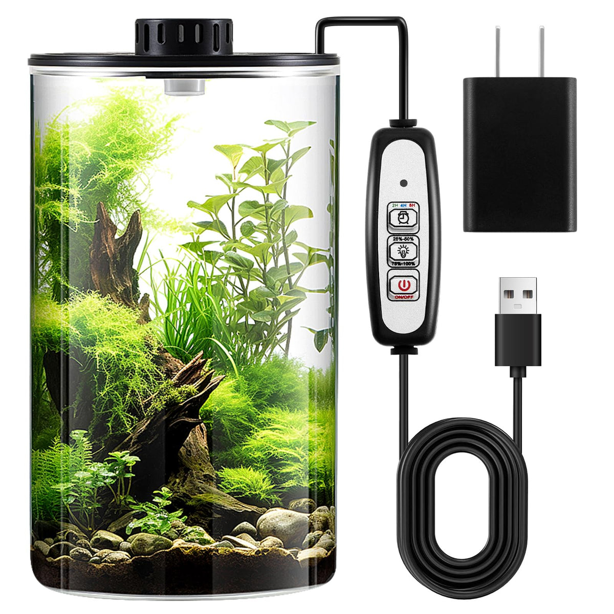 Maxdot front view of glass terrarium showing clear borosilicate clarity and style