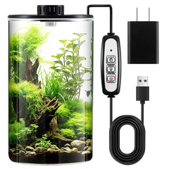 Maxdot front view of glass terrarium showing clear borosilicate clarity and style