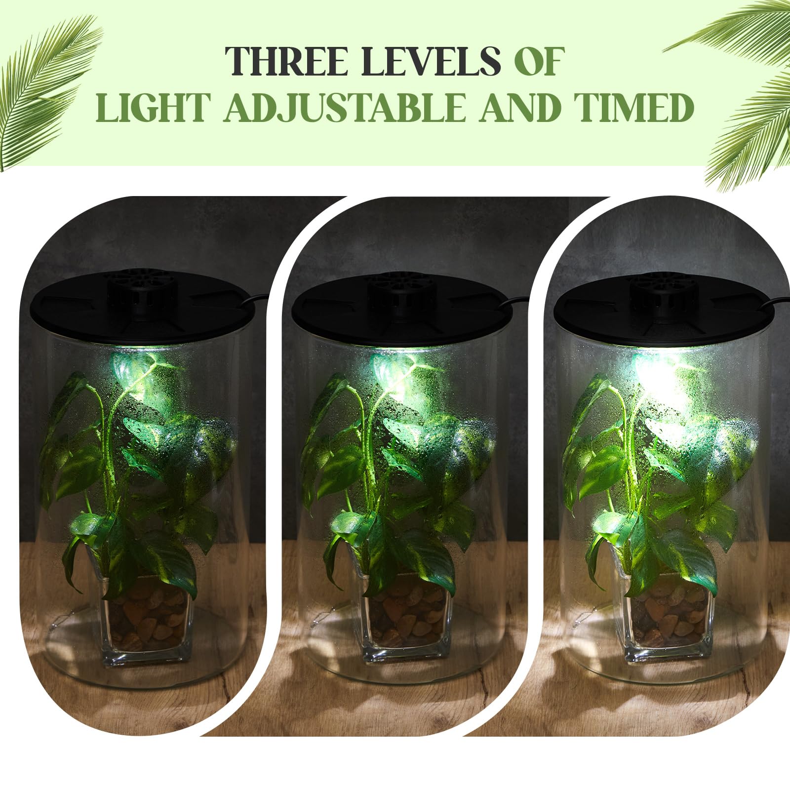 Maxdot terrarium next to a hand for size comparison indicating 9.8-inch height