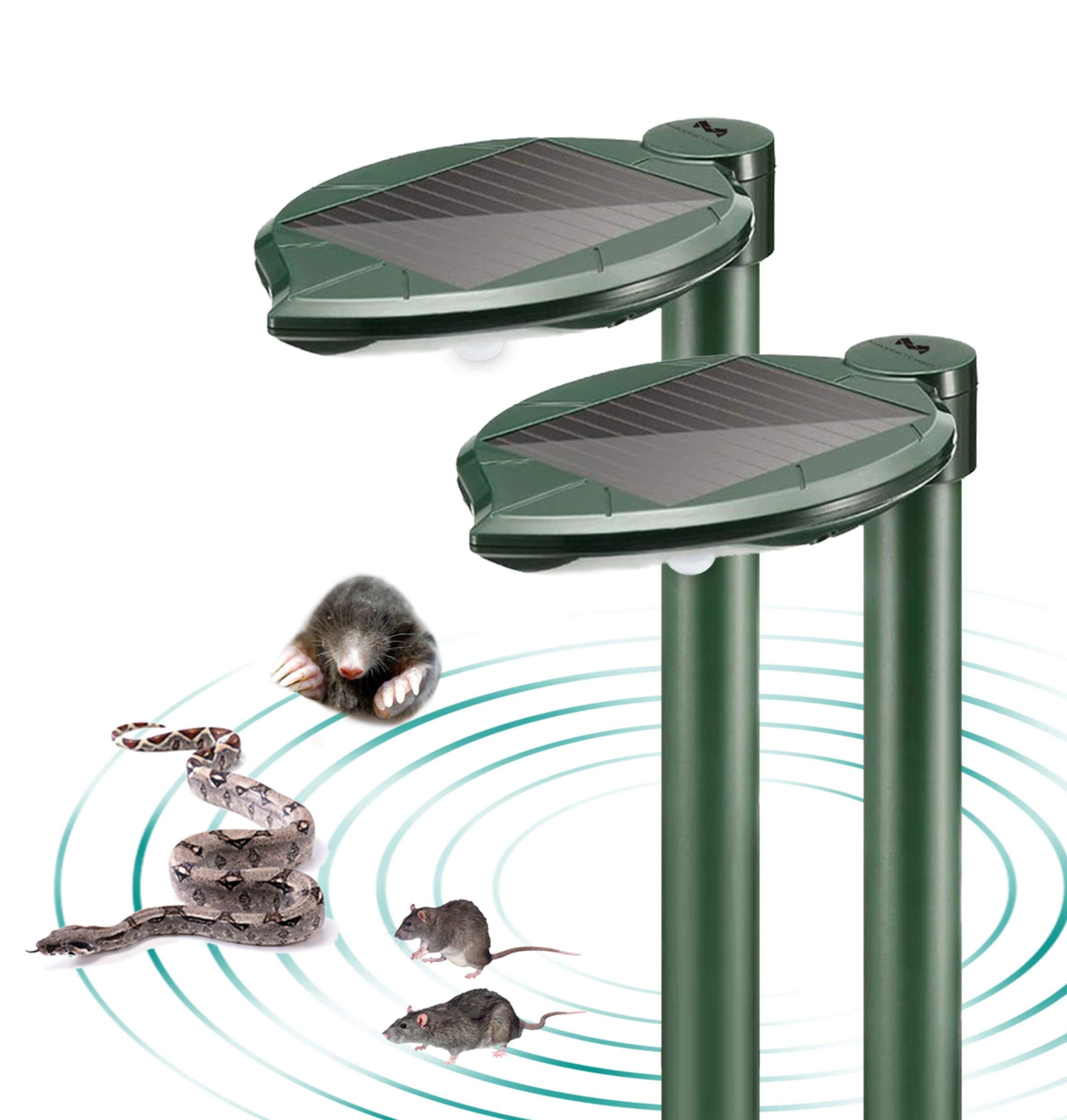 maxfetched front view of stake showing design and benefits