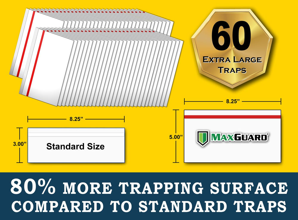 MaxGuard trap attached to a window capturing flies demonstrating quiet chemical-free control
