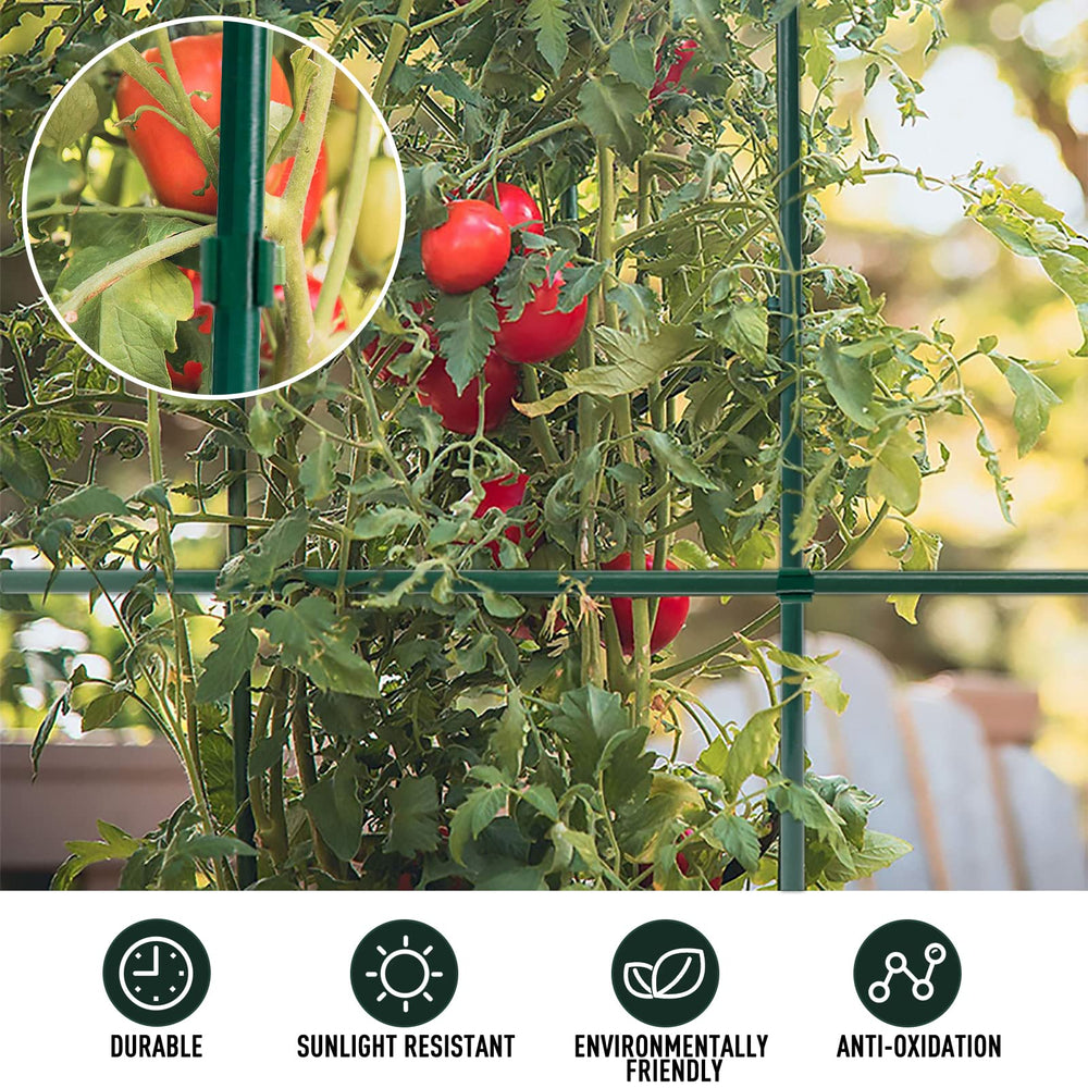 MAXPACE installed in garden bed forming tidy trellis and protecting young plants