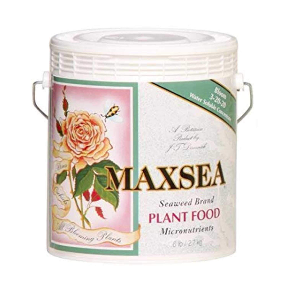 Maxsea Bloom powder close-up showing texture for easy dissolving