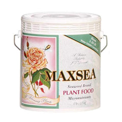 Maxsea Bloom powder close-up showing texture for easy dissolving