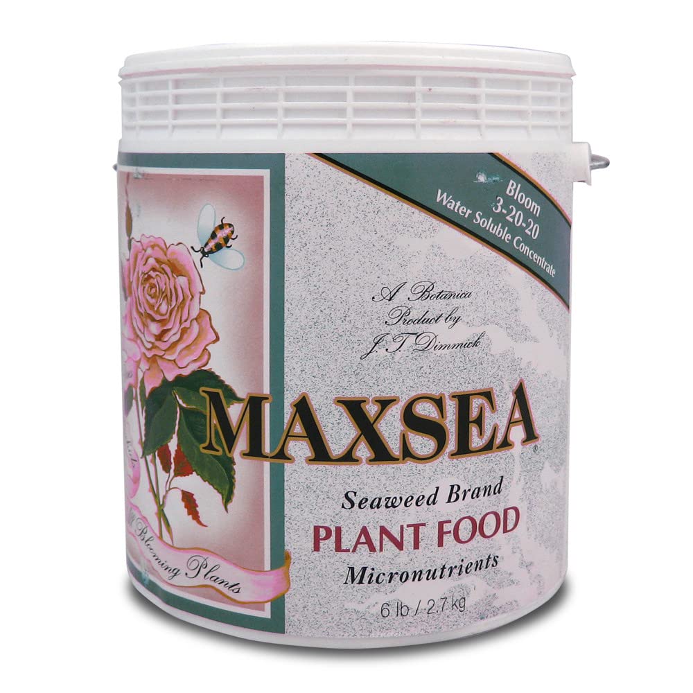 Maxsea Bloom front package showing label and 6 lb size benefit
