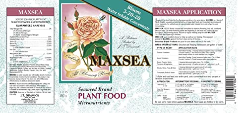 Maxsea Bloom in use on tomato plants demonstrating increased blossoms