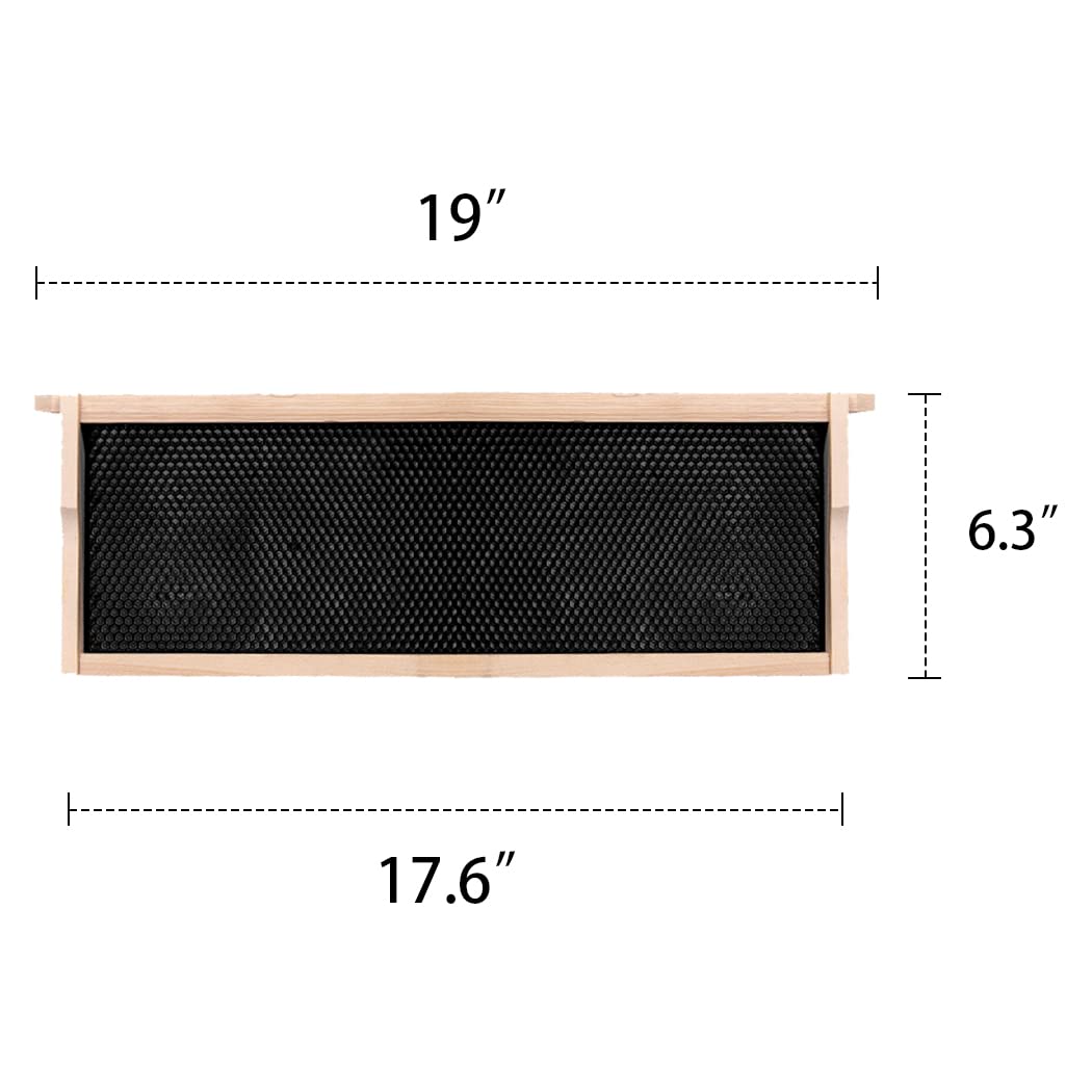 MayBee assembled frame placed in a medium super demonstrating proper fit and use
