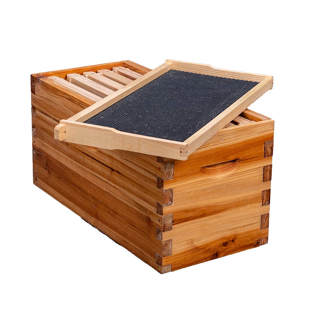 MayBee removable bottom board with entrance reducer for easy cleaning and colony control