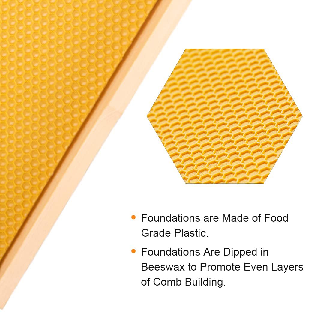 MayBee close-up of beeswax-dipped food-grade foundation showing texture and comb attraction