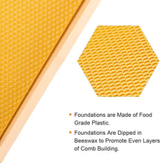 MayBee close-up of beeswax-dipped food-grade foundation showing texture and comb attraction