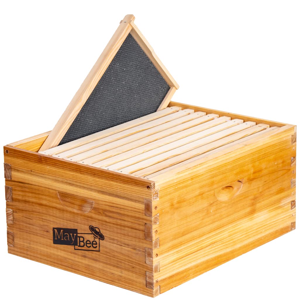 MayBee front view of deep brood box shows sturdy cedar and beeswax protection