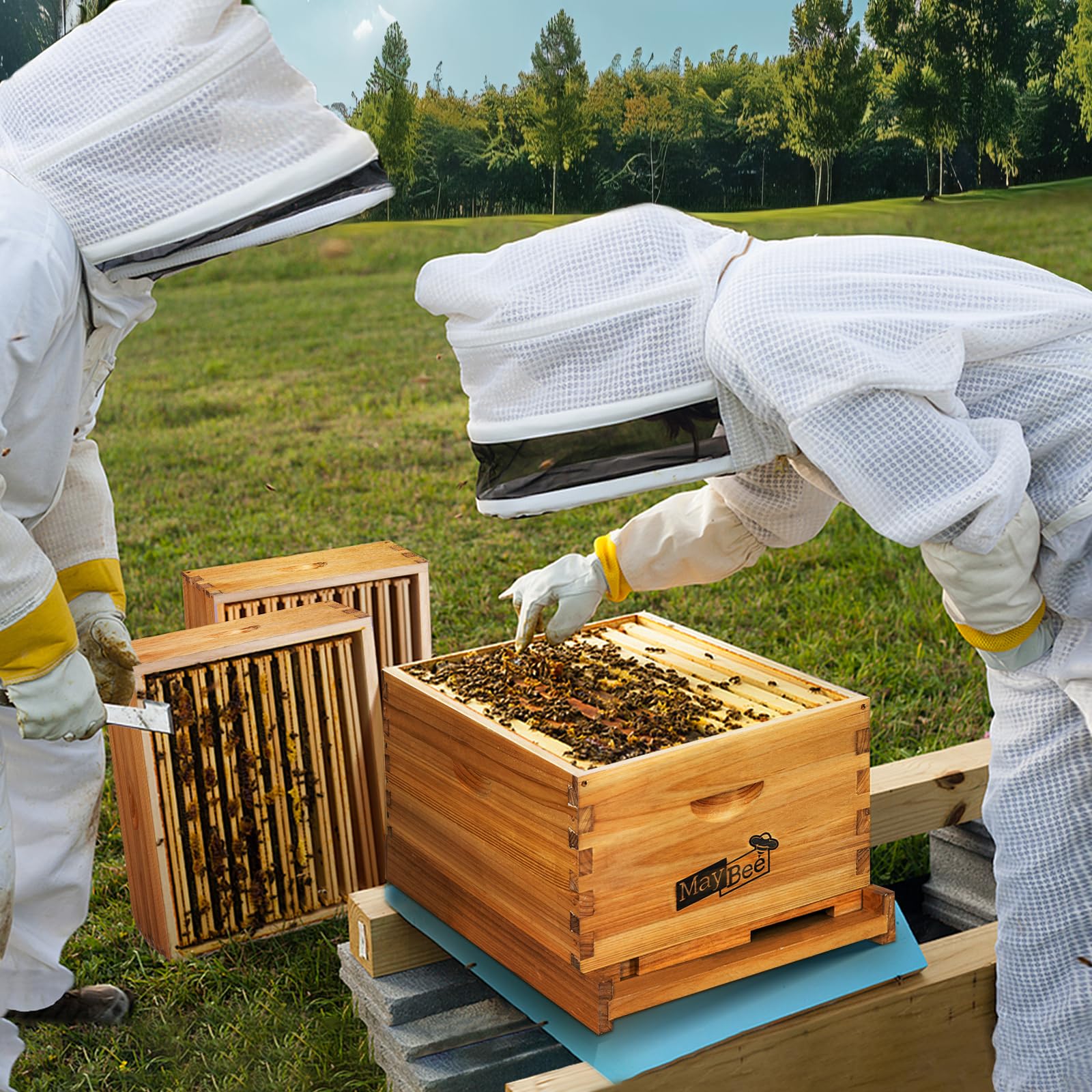 MayBee deep brood box with beeswax finish for better comb acceptance