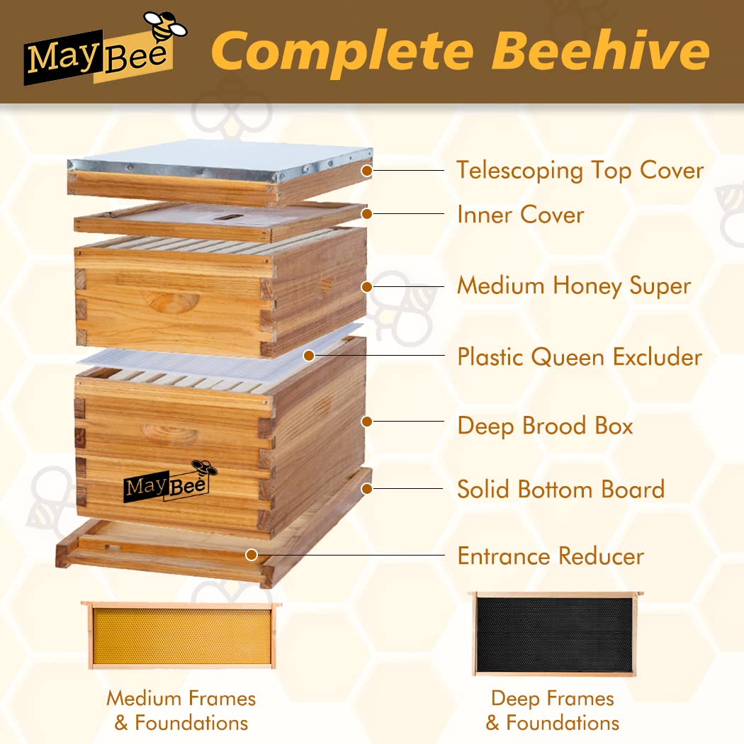MayBee close-up of deep frame dovetail joint and beeswaxed foundation for easy comb building