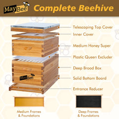 MayBee close-up of deep frame dovetail joint and beeswaxed foundation for easy comb building