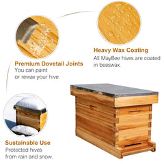 MayBee five deep frames installed highlighting organized hive space and inspection ease