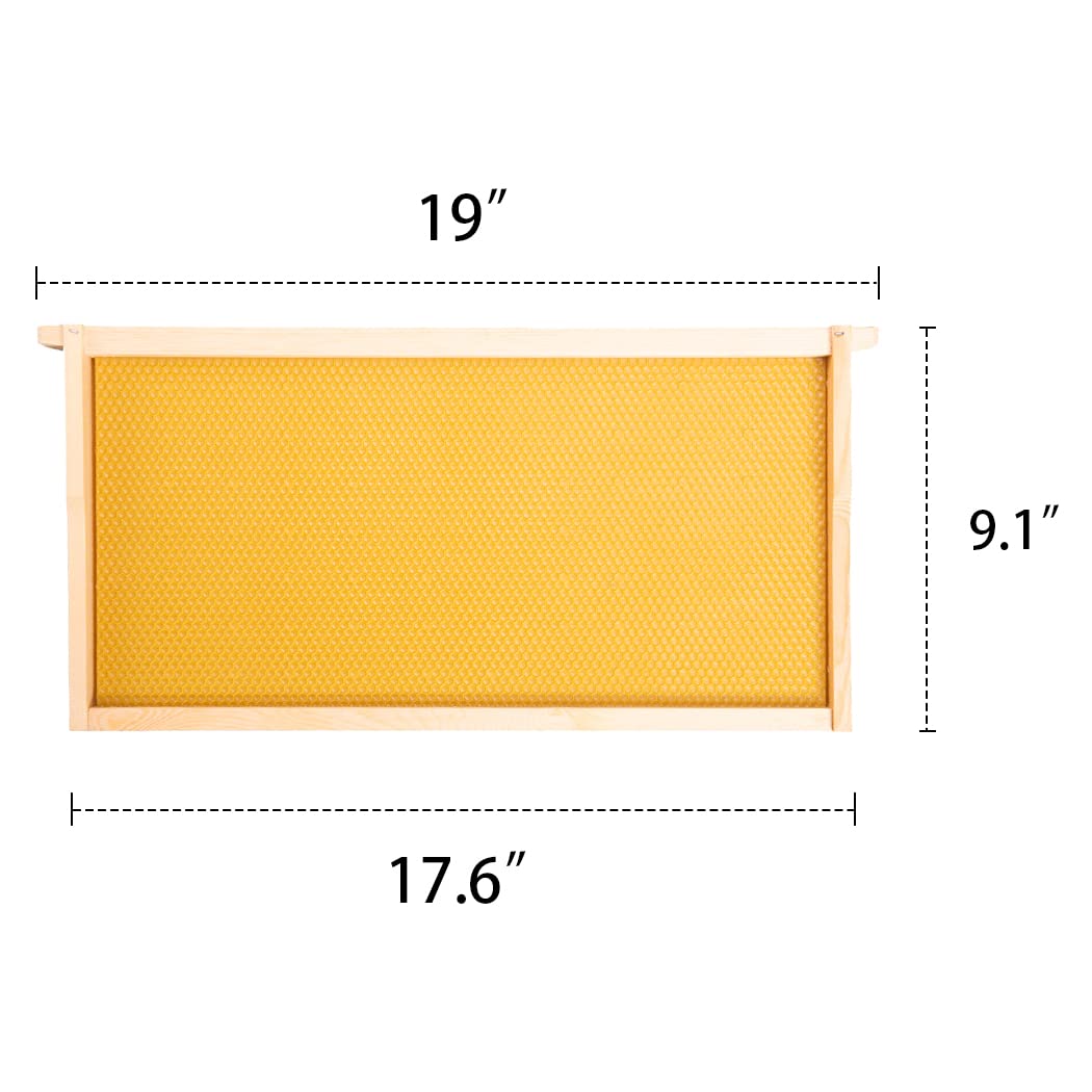 MayBee assembled frame installed in hive demonstrating easy use and bee acceptance