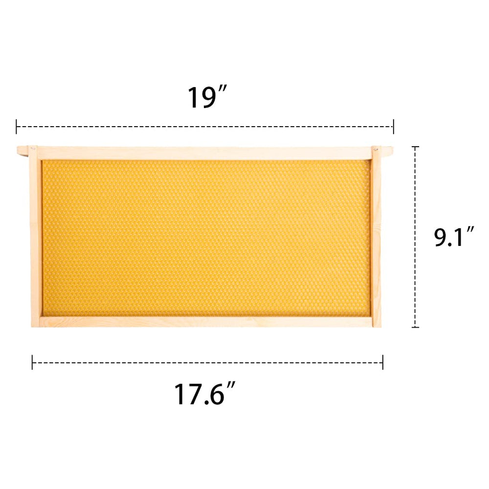 MayBee assembled frame installed in hive demonstrating easy use and bee acceptance