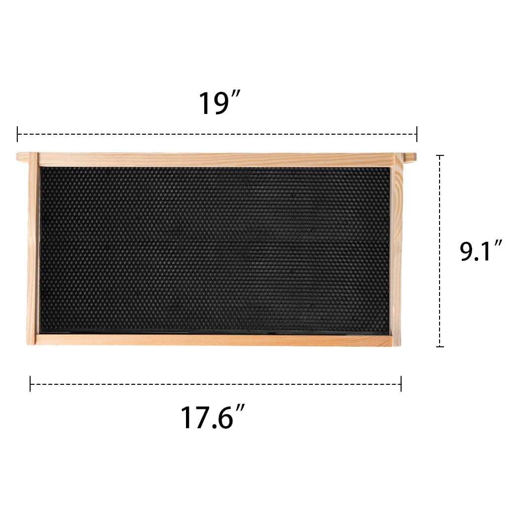 MayBee assembled deep frame placed in a brood box to show scale and standard deep dimensions