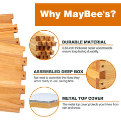 MayBee ten pine frames with waxed plastic foundation enabling fast comb building